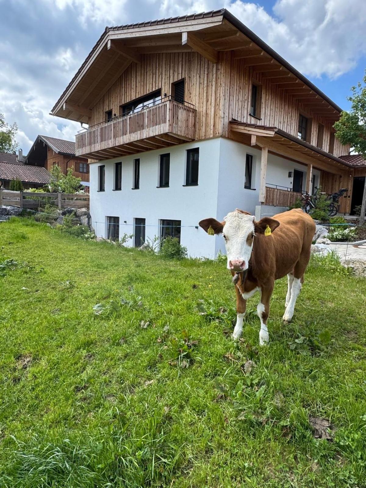 Ferienwohnung Gschwendt ミースバッハ エクステリア 写真